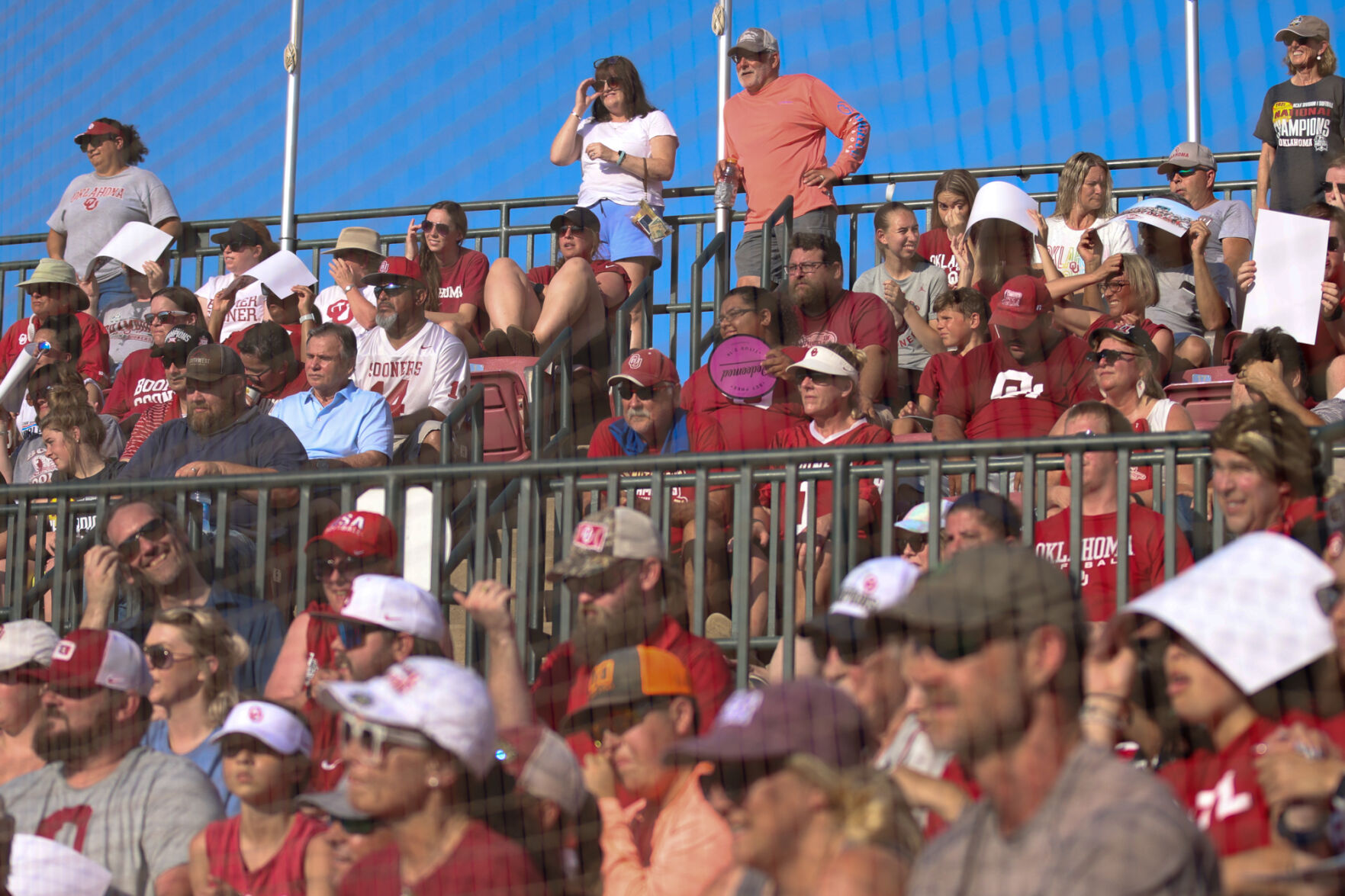 Softball fans